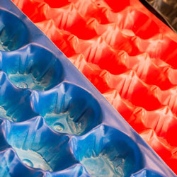 Alveoli in plastica