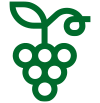 Icona cooperative OP e aziende agricole per filiera uva da tavola Retarder+
