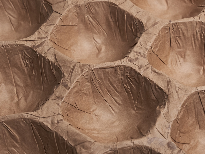 Alveoli in carta