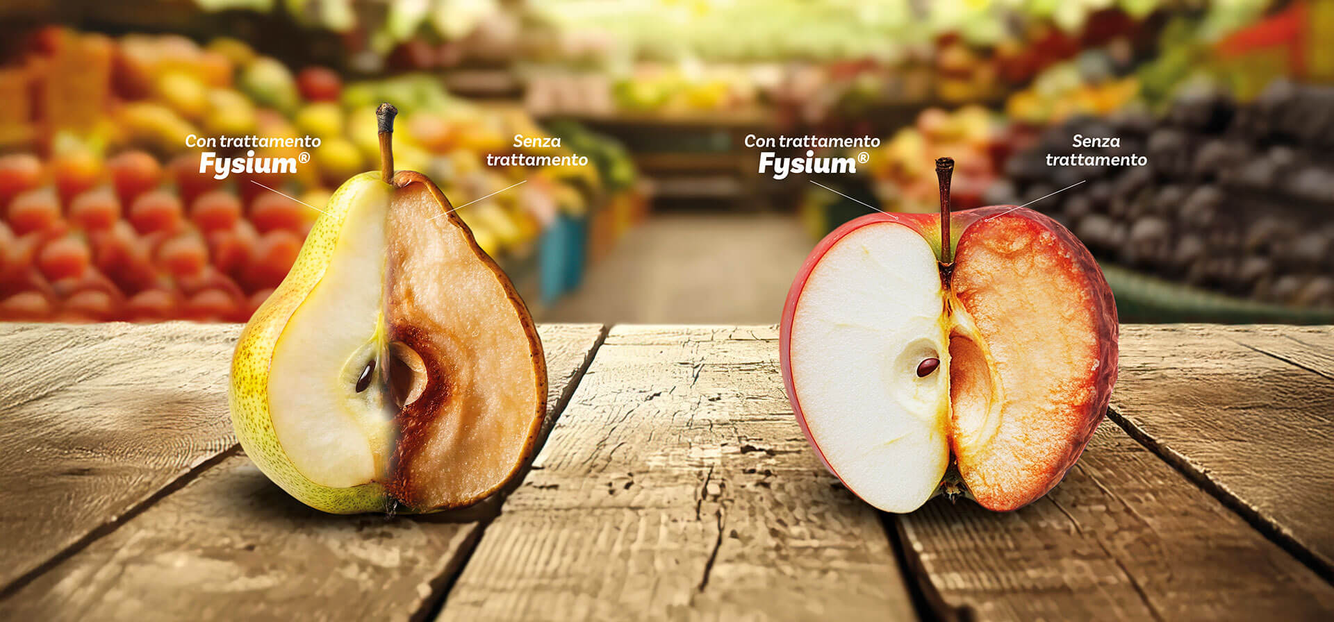 Fysium
